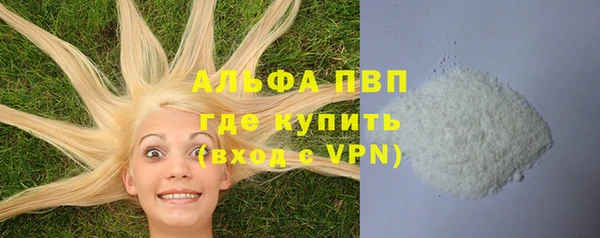 твердый Лагань