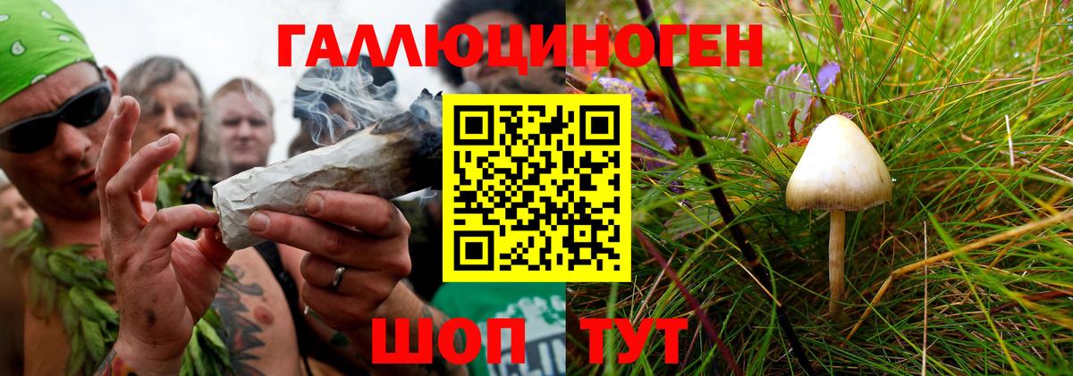 Псилоцибиновые грибы Magic Shrooms Новотроицк