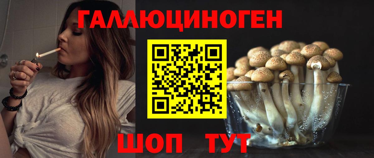 Галлюциногенные грибы GOLDEN TEACHER  Галлюциногенные грибы мухоморы  Новотроицк  Вход с VPN 
