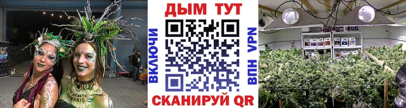 Каннабис семена  Новотроицк 